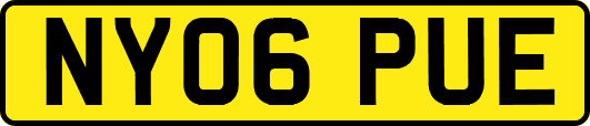 NY06PUE