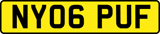 NY06PUF