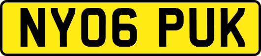 NY06PUK