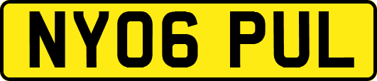 NY06PUL