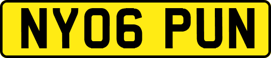NY06PUN