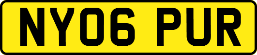 NY06PUR