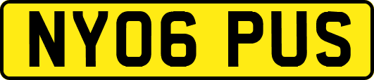 NY06PUS
