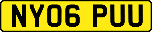 NY06PUU