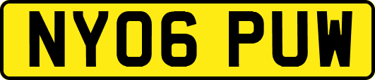 NY06PUW