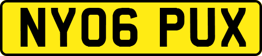 NY06PUX