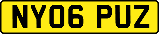 NY06PUZ