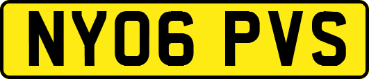 NY06PVS
