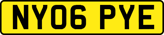 NY06PYE