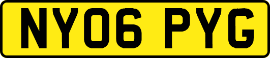 NY06PYG
