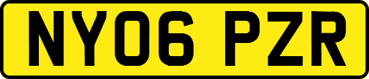 NY06PZR