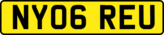 NY06REU