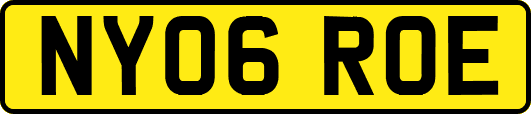 NY06ROE