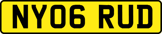 NY06RUD
