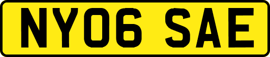 NY06SAE