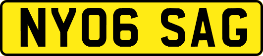 NY06SAG