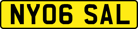 NY06SAL
