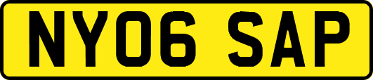 NY06SAP