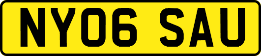 NY06SAU