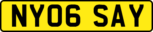 NY06SAY