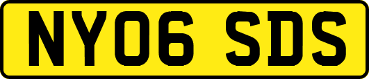 NY06SDS