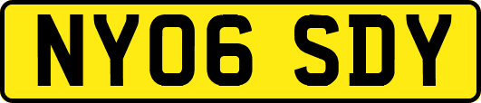 NY06SDY