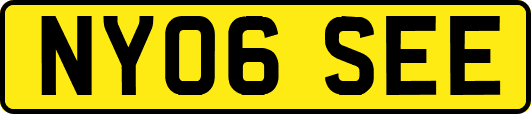 NY06SEE
