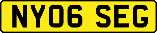 NY06SEG