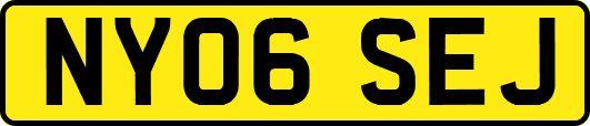 NY06SEJ