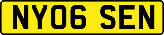 NY06SEN