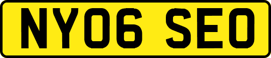 NY06SEO