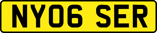 NY06SER