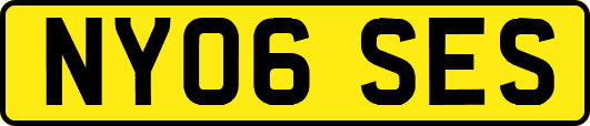 NY06SES