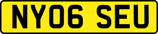 NY06SEU