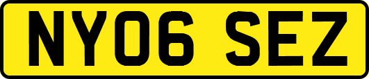 NY06SEZ