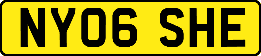 NY06SHE