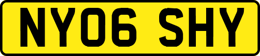 NY06SHY