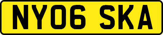 NY06SKA