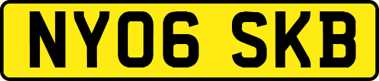 NY06SKB