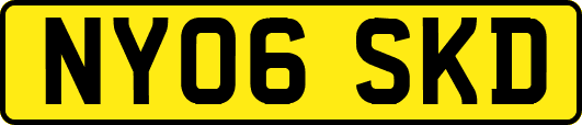 NY06SKD