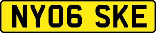 NY06SKE