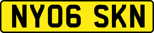 NY06SKN