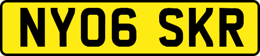 NY06SKR