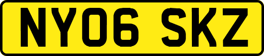 NY06SKZ