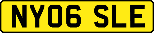 NY06SLE