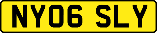 NY06SLY