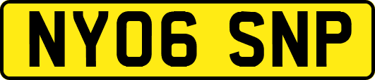 NY06SNP