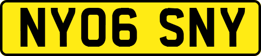 NY06SNY