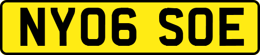 NY06SOE