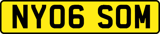 NY06SOM